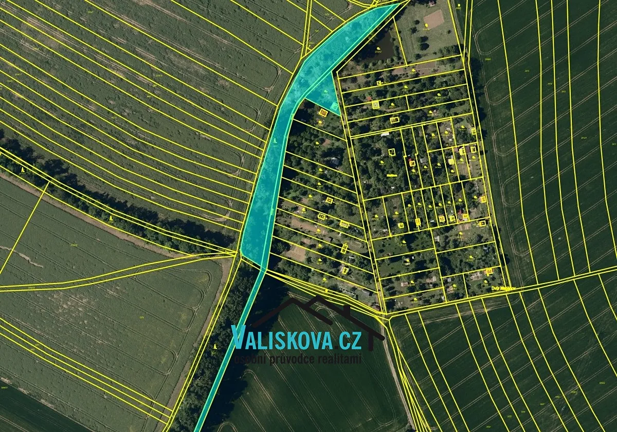 Prodej lesa 7694 m²